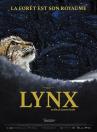 Affiche lynx 8